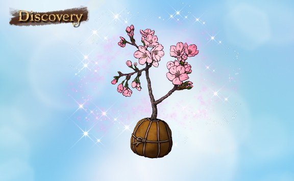 Discovery 里帰りした桜を探せ！