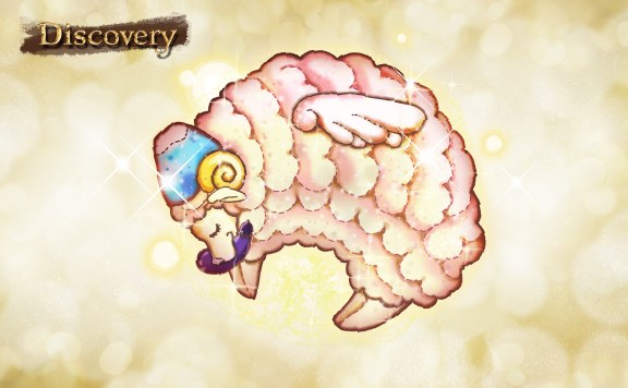 Discovery 必眠の羊毛枕を探せ！