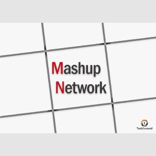 Mashup Network
