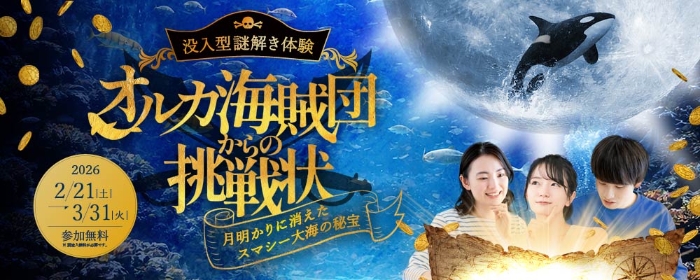 オルカ海賊団からの挑戦状～月明かりに消えたスマシー大海の秘宝～