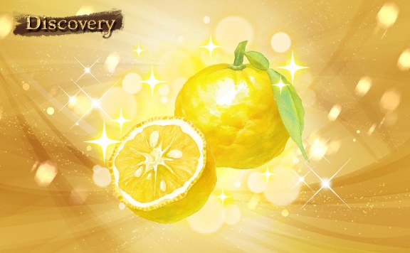 Discovery 金色の柚子を探せ！