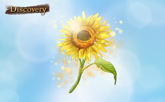 Discovery 輝きの花を探せ！