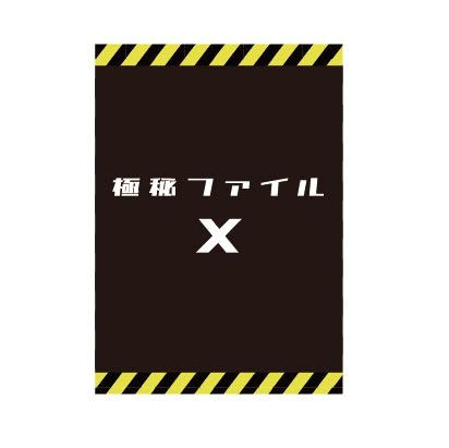 極秘ファイルX