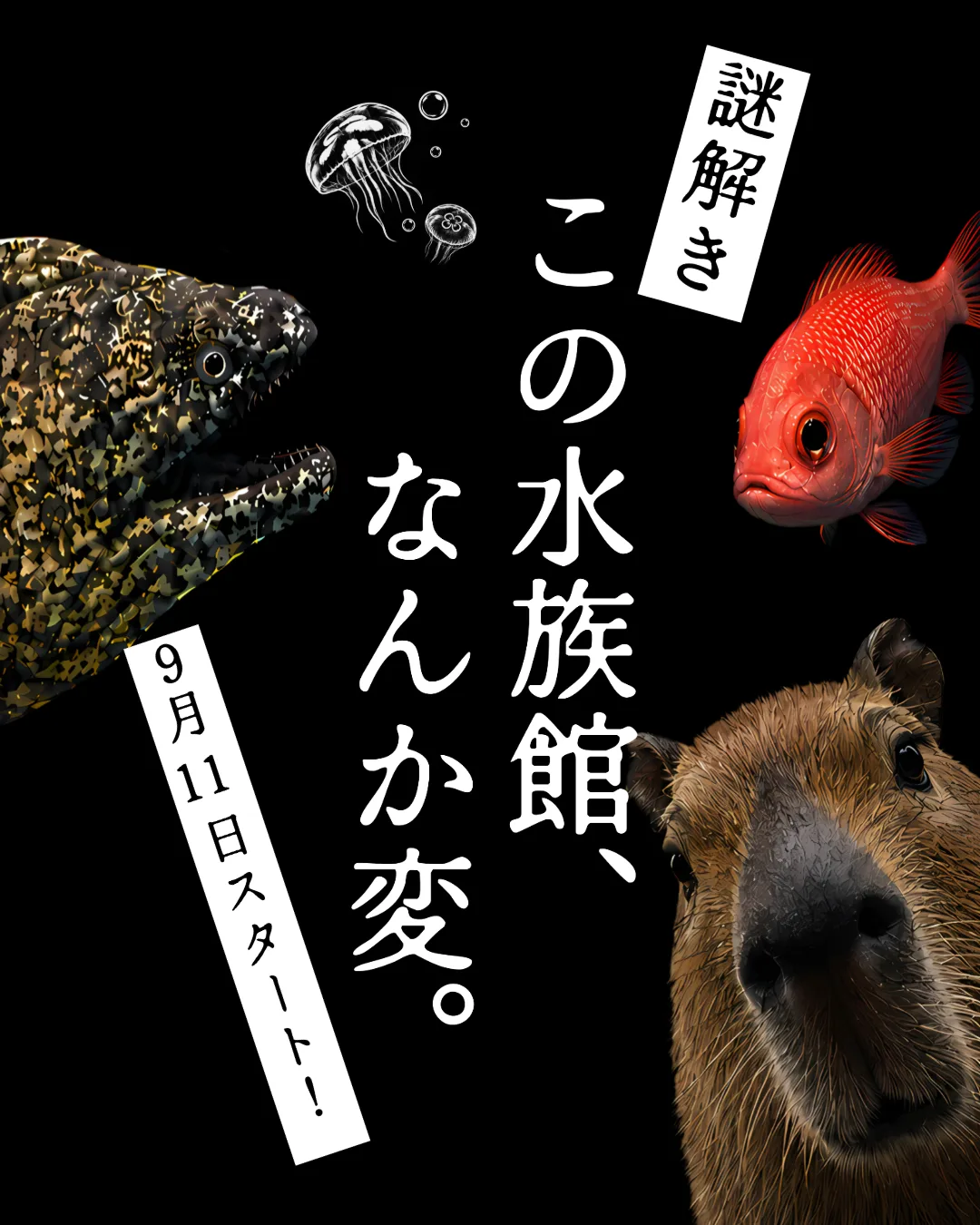 この水族館、なんか変。