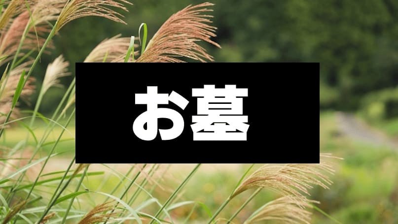 ほり謎「お墓」
