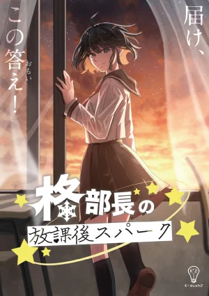 柊部長の放課後スパーク