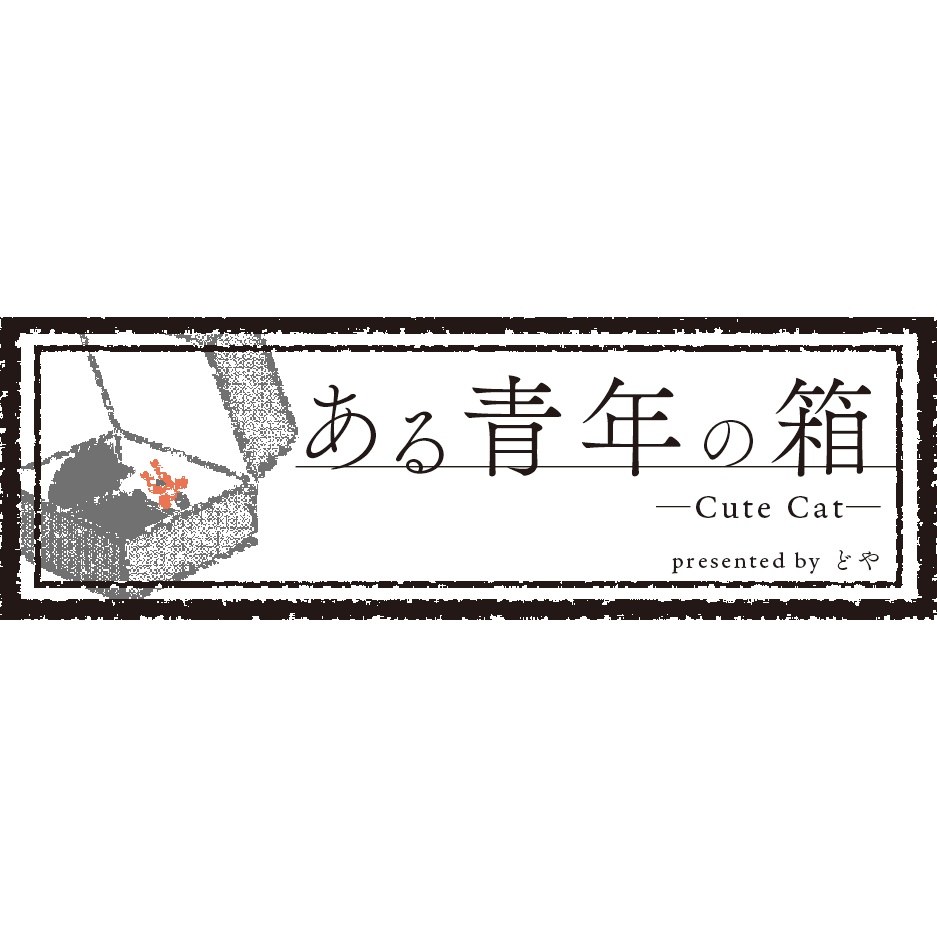 ある青年の箱 -Cute Cat-