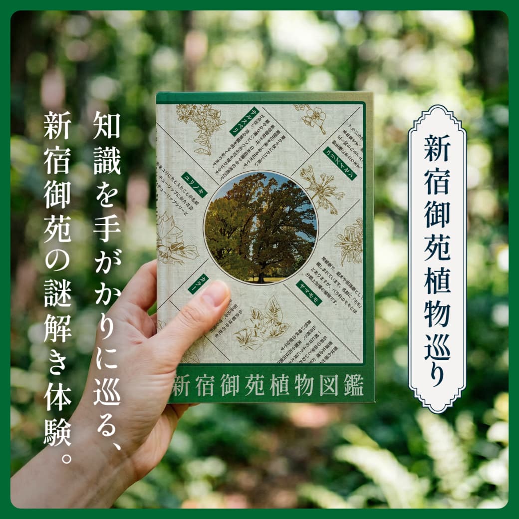 新宿御苑植物巡り（朝焼け編、夕焼け編、宵編）