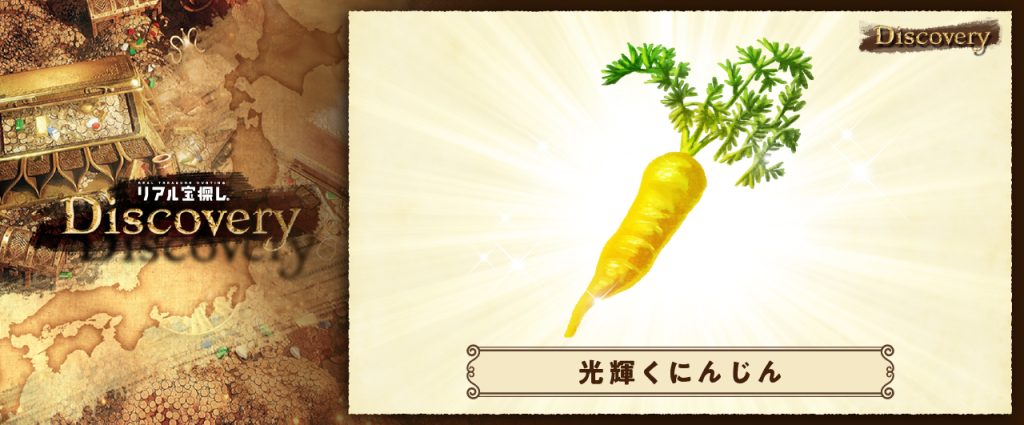 【千葉県富里市】光輝くにんじんを探せ！Discovery