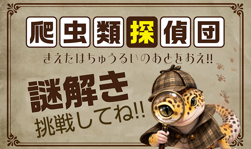 爬虫類探偵団 きえたはちゅうるいのあとをおえ