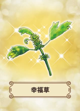 【千葉県鎌ケ谷市】幸福草を探せ！Discovery