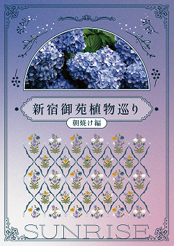 新宿御苑植物巡り 朝焼け編