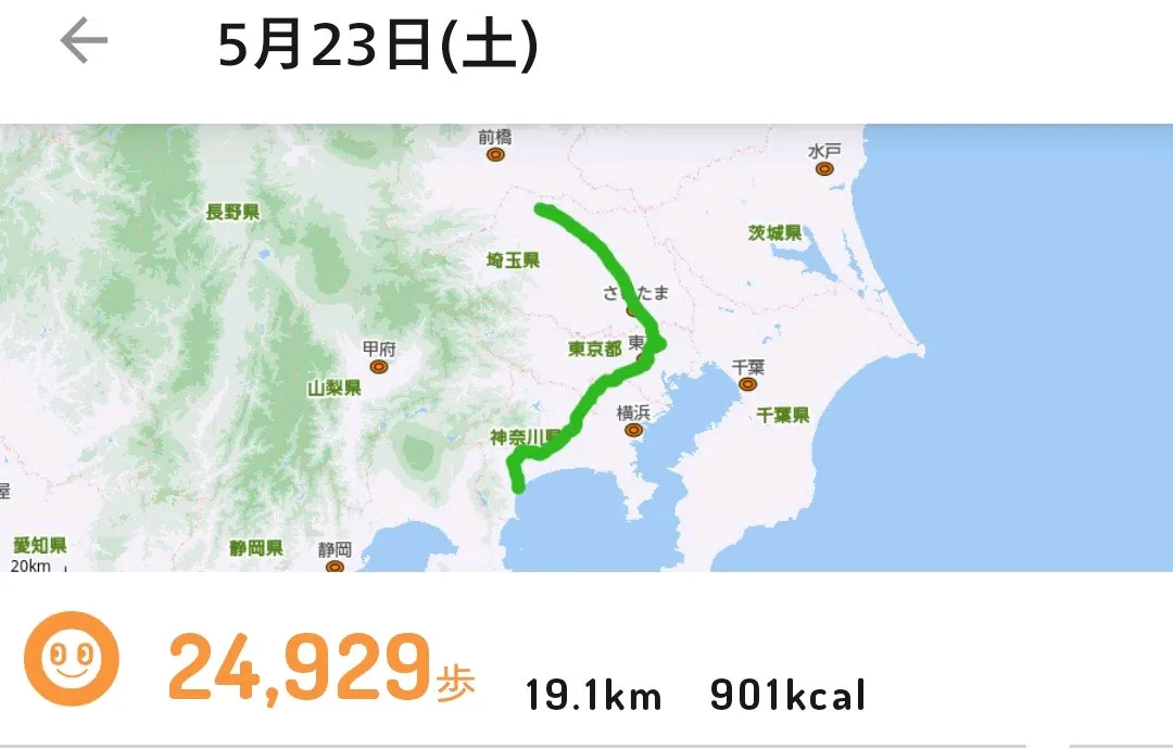 小田急謎街トレイン2026のナゾ活写真