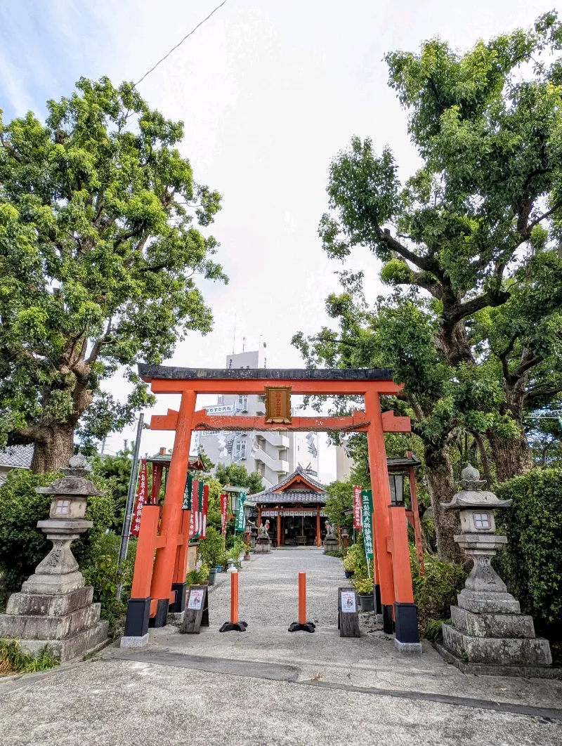 歴史リアル謎解きゲーム「謎の城」in 郡山城「豊臣秀長　大和大納言と呼ばれた名君」のナゾ活写真