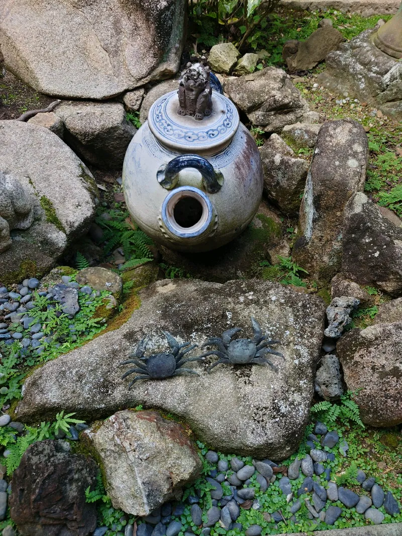 たぁこさんのナゾ活写真