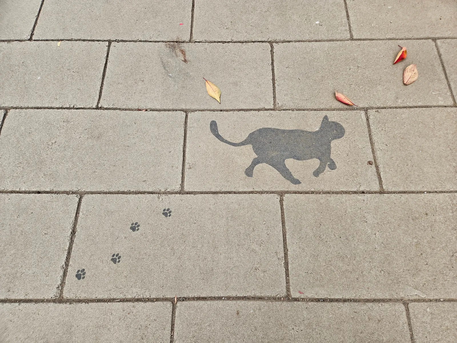 しんじゅく謎解きワールドタウン 新宿にねむる秘宝と未来からの調査員のナゾ活写真