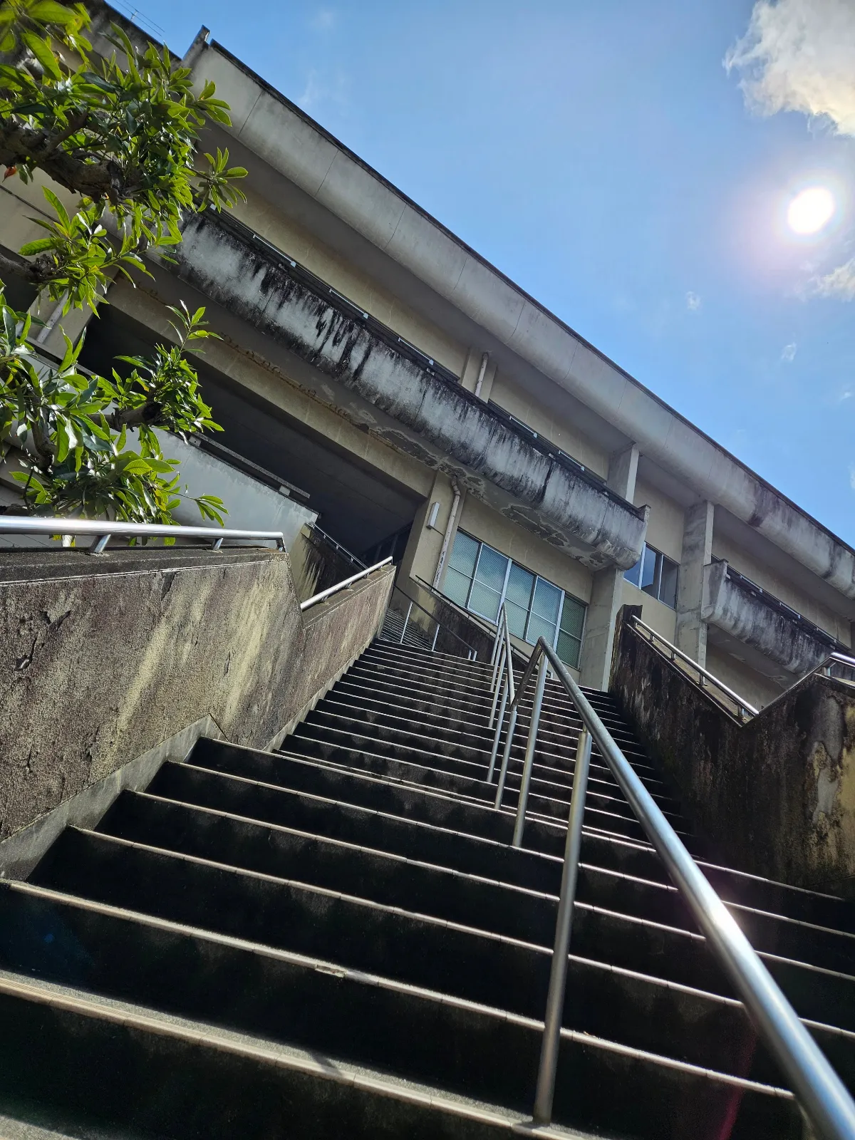 「飯能 ×『美しい星』× 謎解き　消えた小説家と5つの句」のナゾ活写真