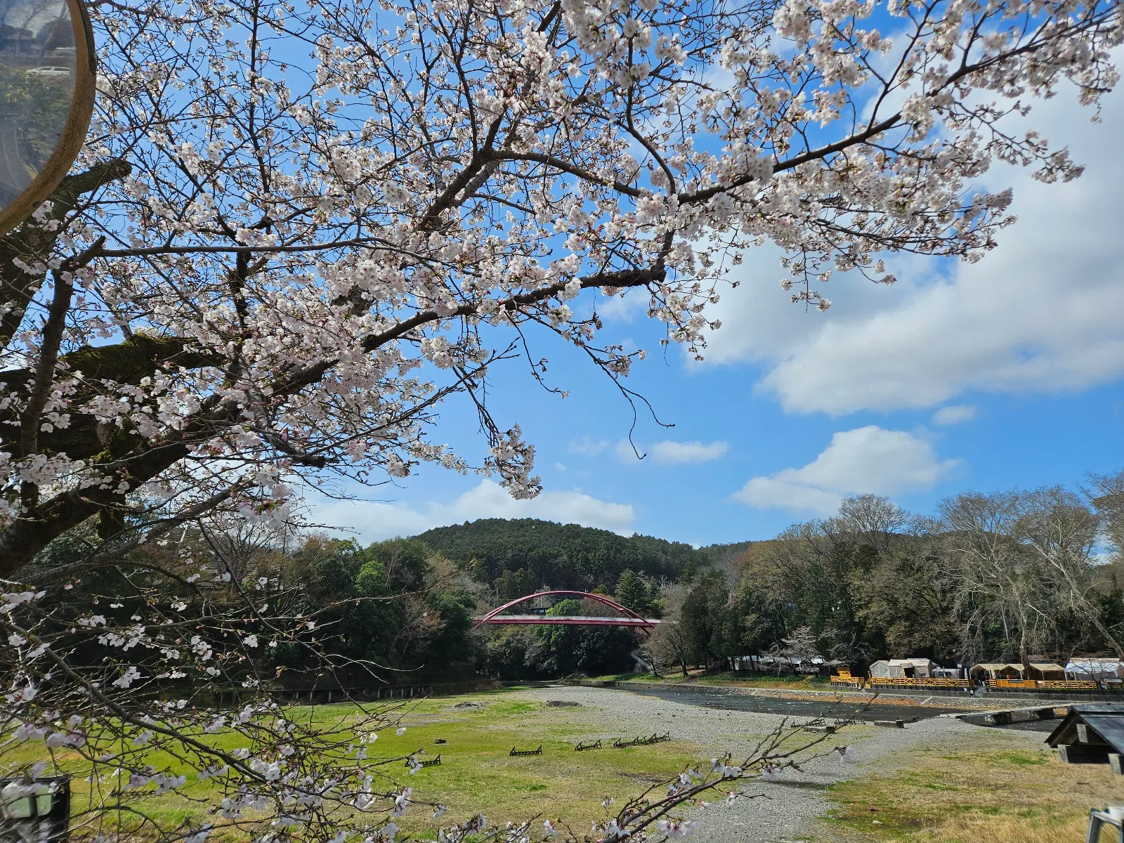 「飯能 ×『美しい星』× 謎解き　消えた小説家と5つの句」のナゾ活写真