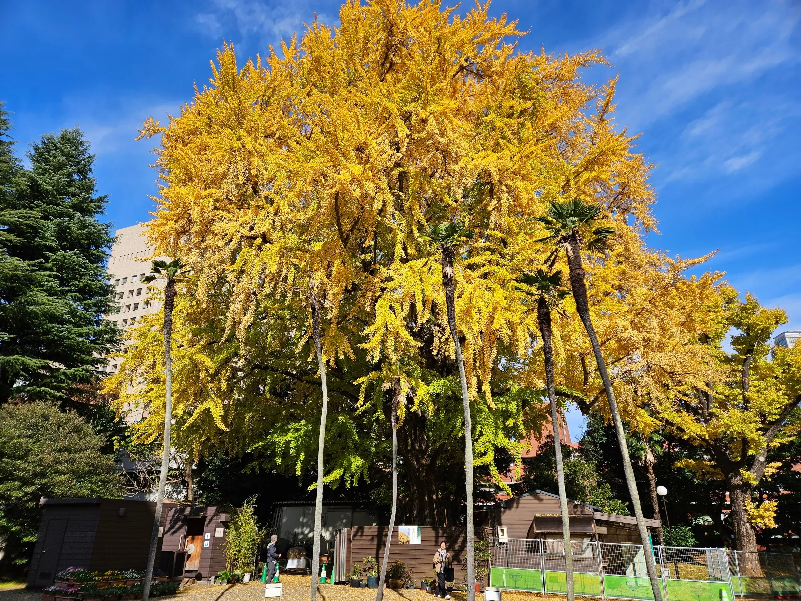 旧岩崎邸 秋の特別ミステリーツアー「コンドル先生が地下に遺した秘密のメッセージ」のナゾ活写真