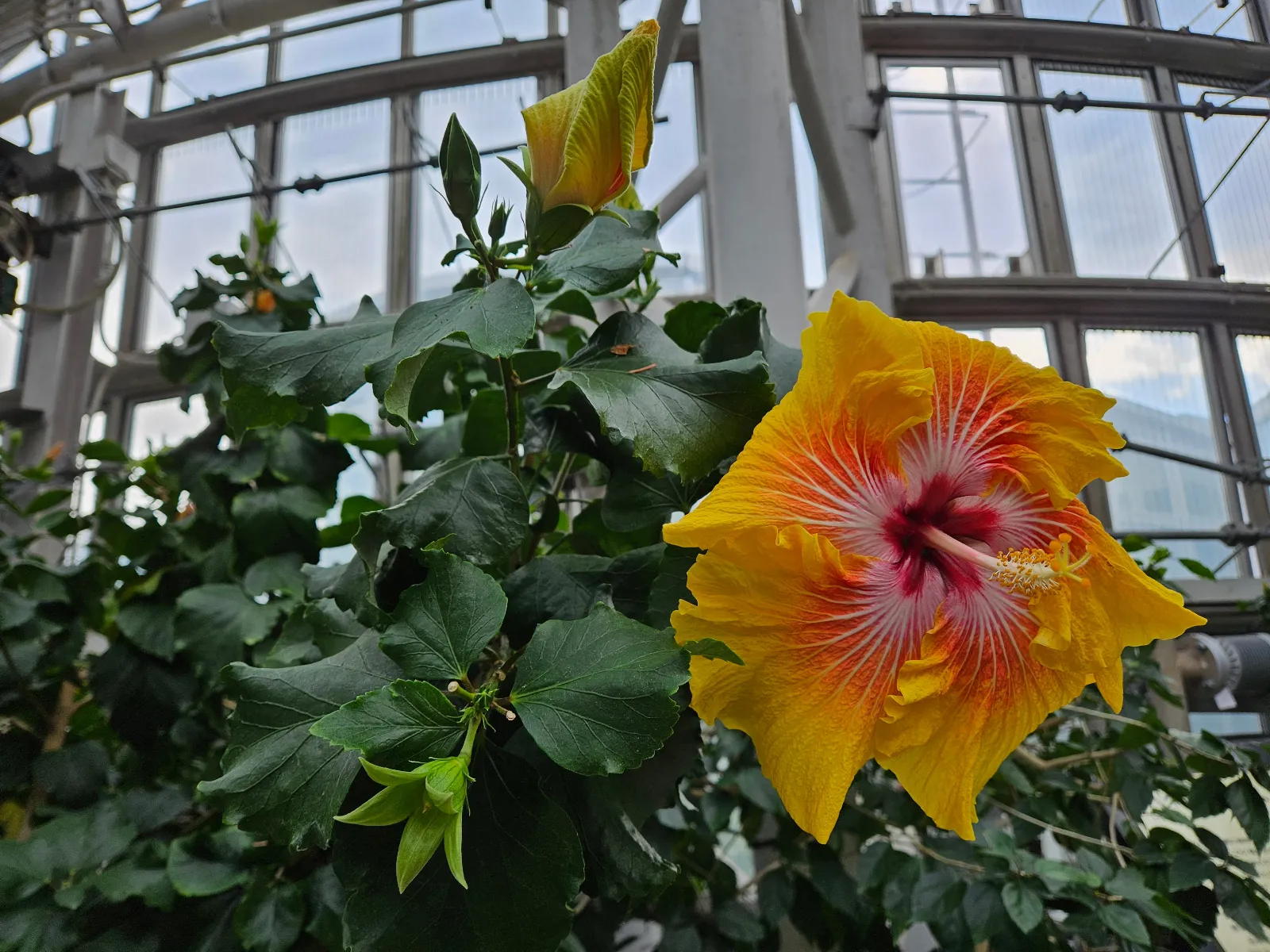 深大寺恋物語謎解き2025のナゾ活写真