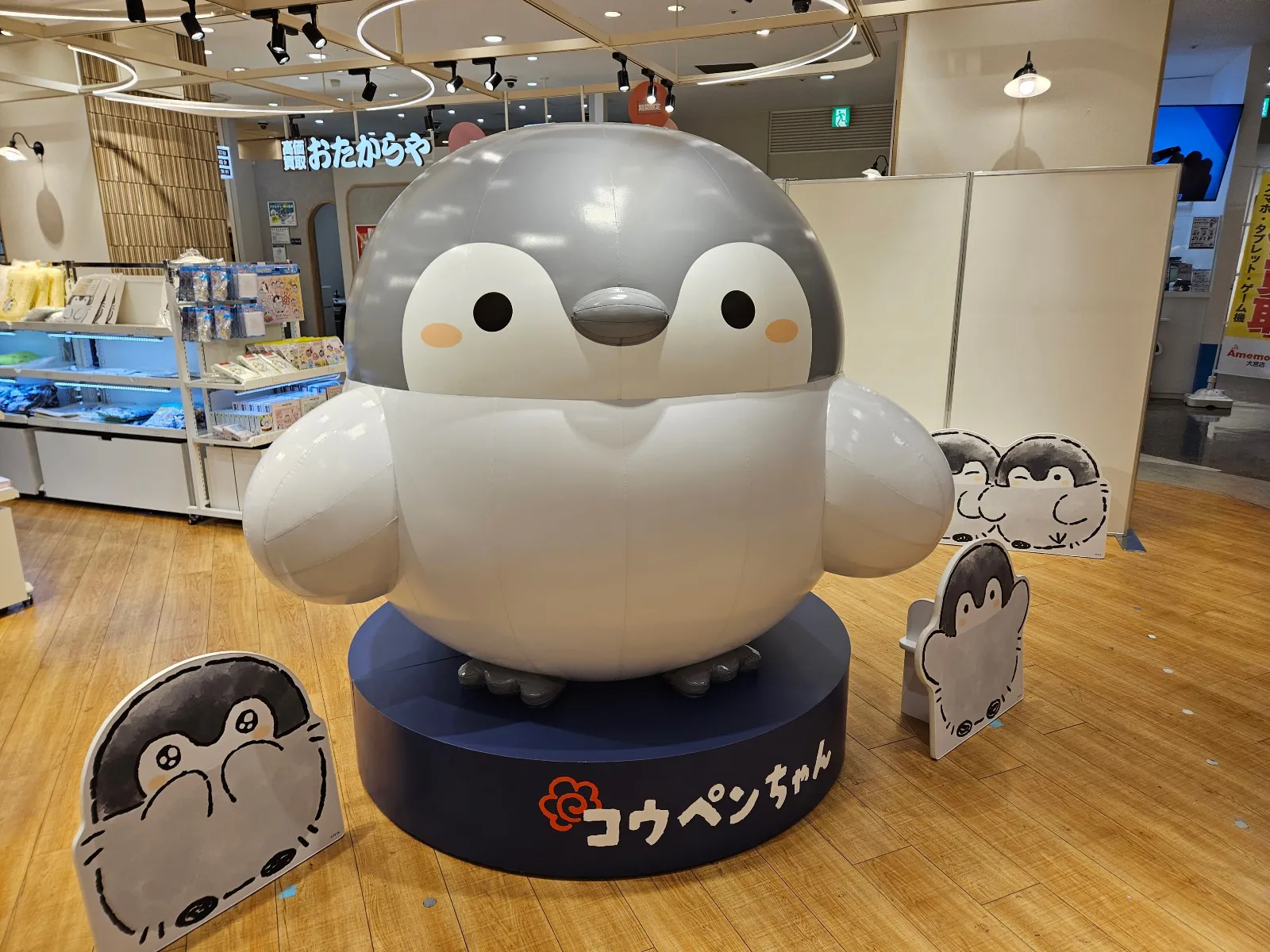 S Iさんのナゾ活写真