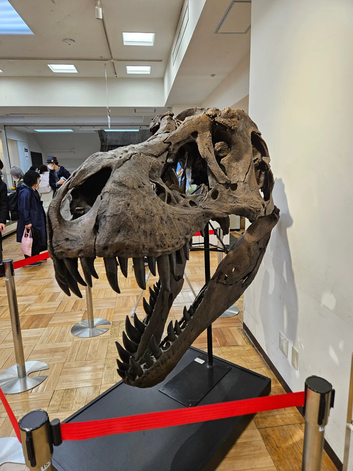 GINZA QUEST 2のナゾ活写真