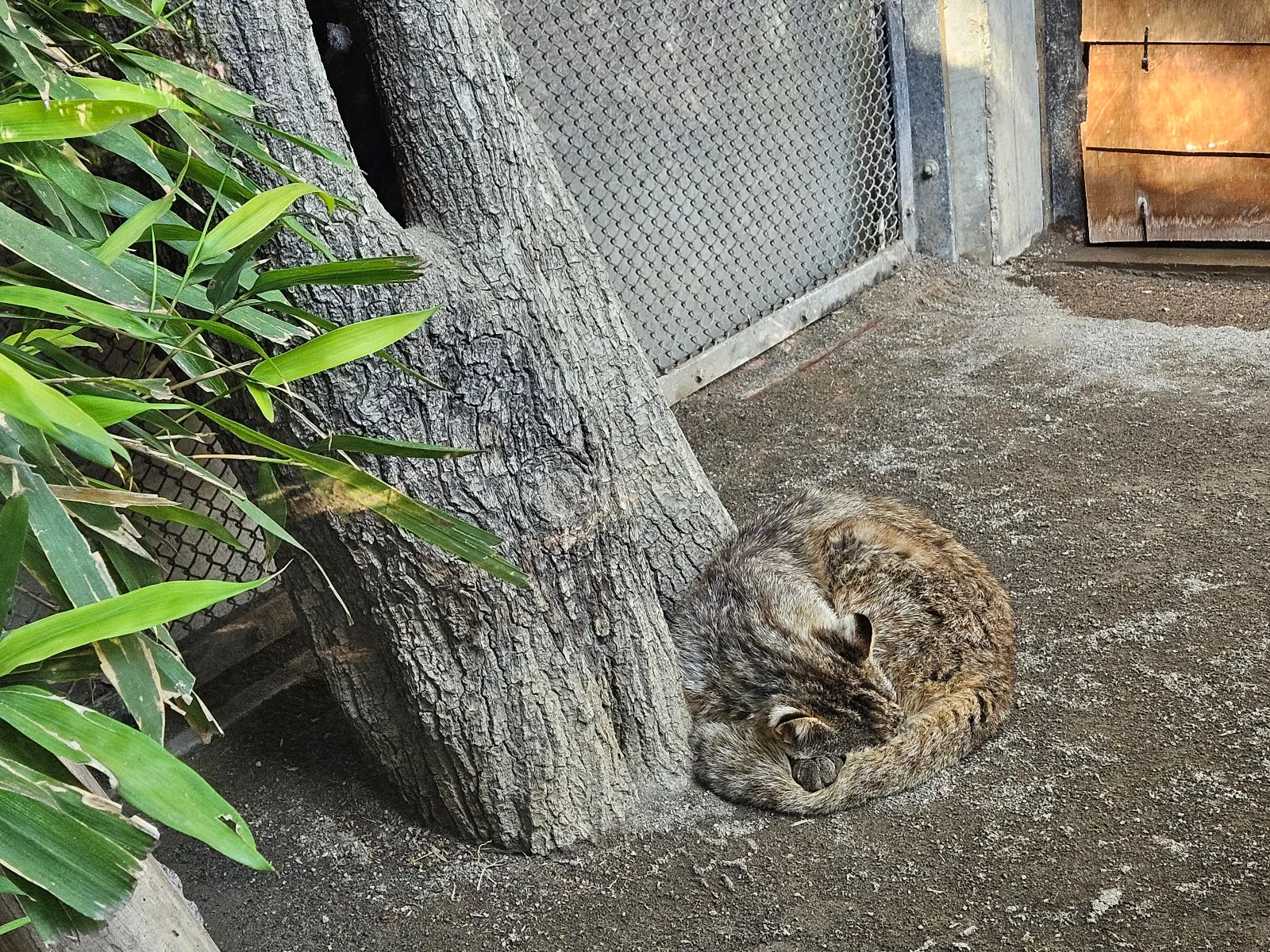 吉祥寺謎解き 追憶のアルバムのナゾ活写真
