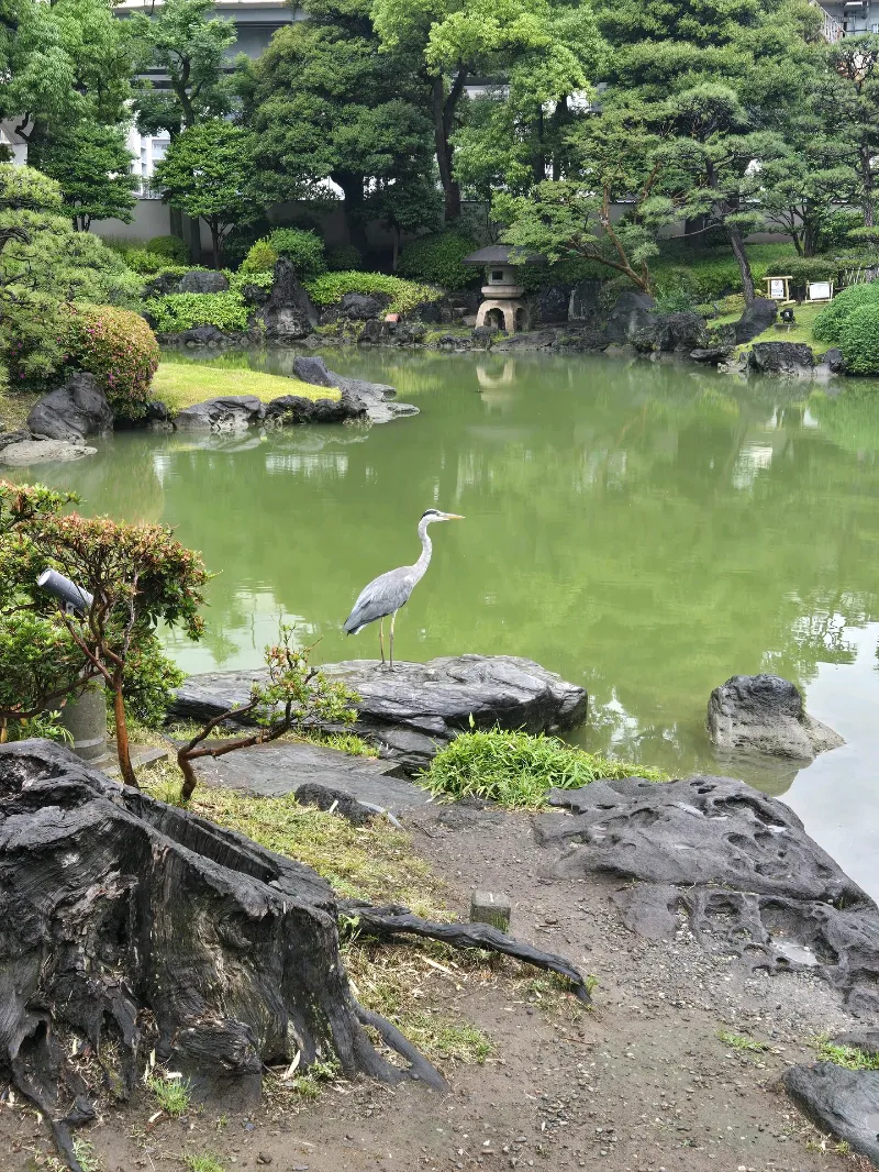 パラノマサイト Alt FILE23 本所にゃにゃ不思議 powered by Catripすみだのナゾ活写真