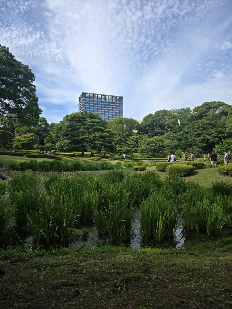 皇居を巡る謎解きの旅 with QuizKnockのナゾ活写真