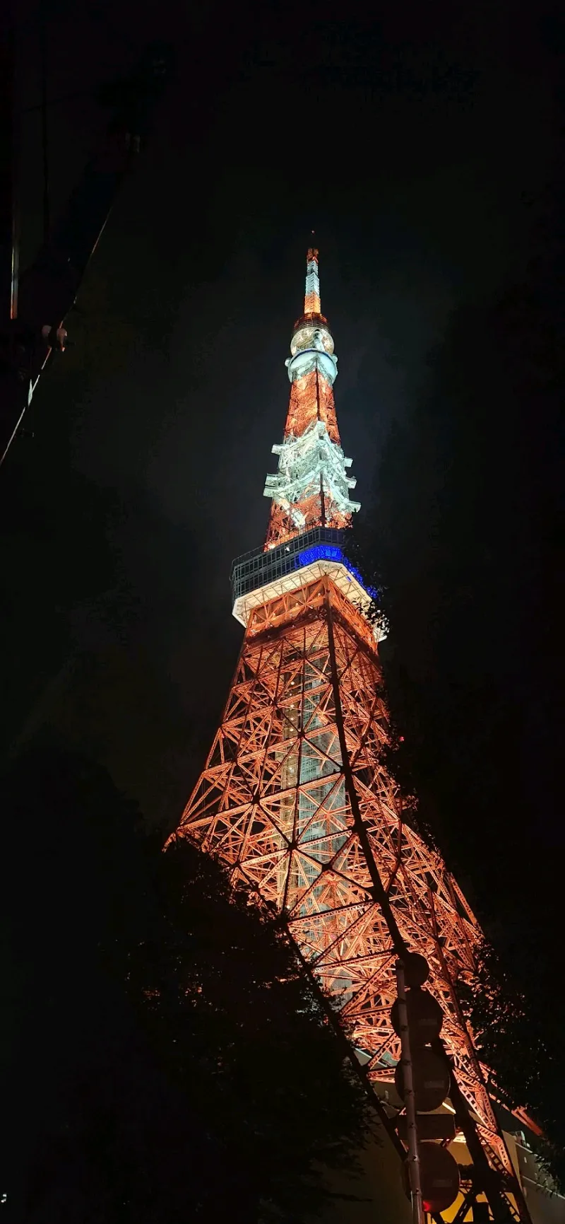 かおがぱおさんのナゾ活写真