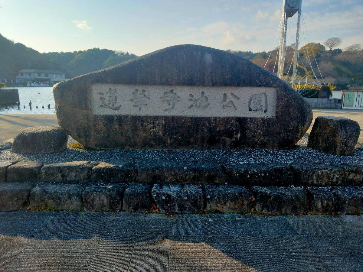 妖精のふしぎな落とし物のナゾ活写真