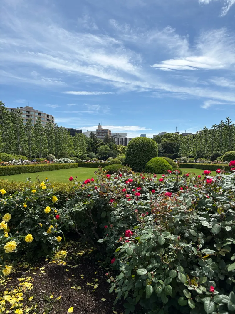 新宿御苑植物巡り（朝焼け編、夕焼け編、宵編）のナゾ活写真