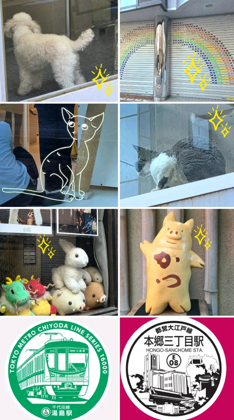 loukさんが投稿した「ぶんきょう坂道ミステリー 探偵ケイシャと名もなき猫の歌」のナゾ活写真 4枚目