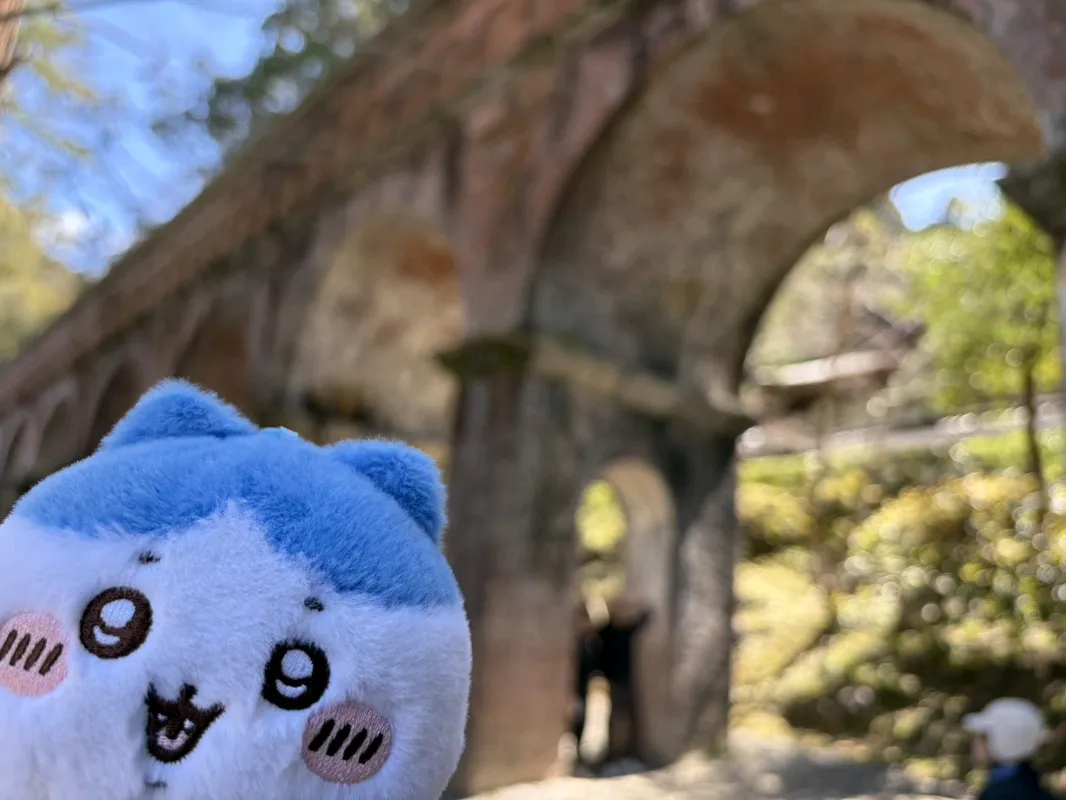 『京都謎解き列車旅』のナゾ活写真