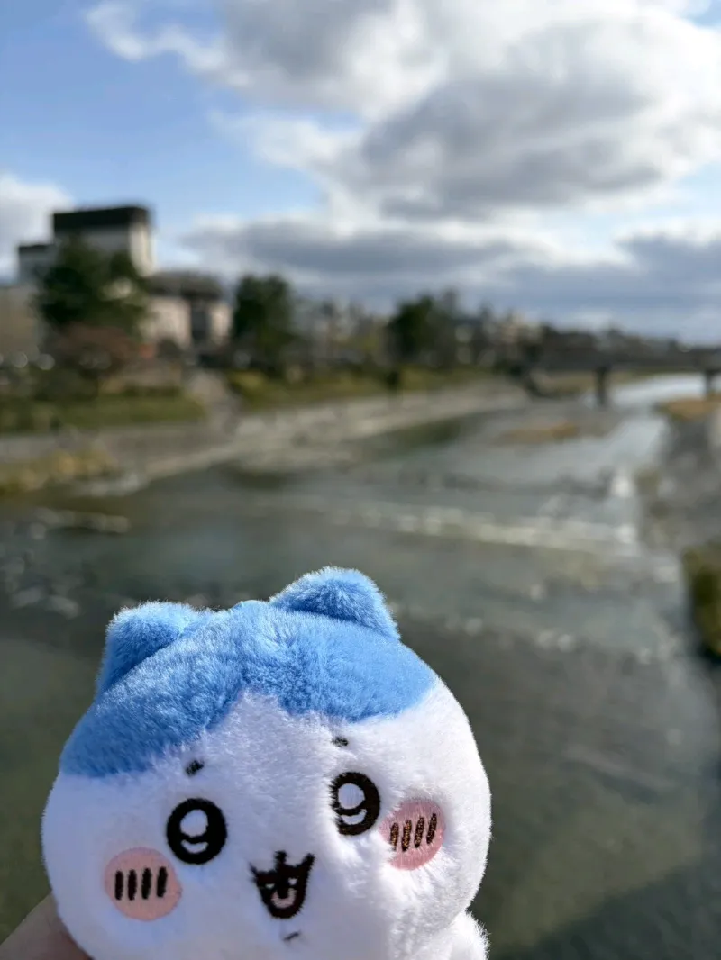 京都謎解き街歩きのナゾ活写真