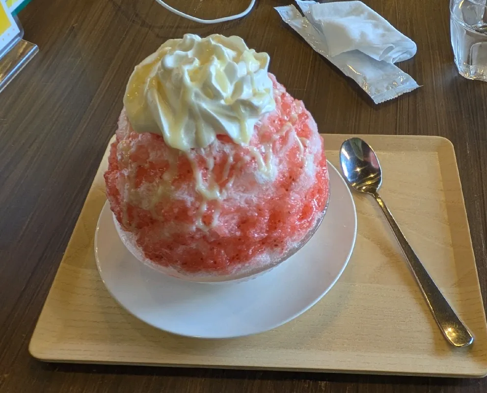 ごまふぐさんのナゾ活写真