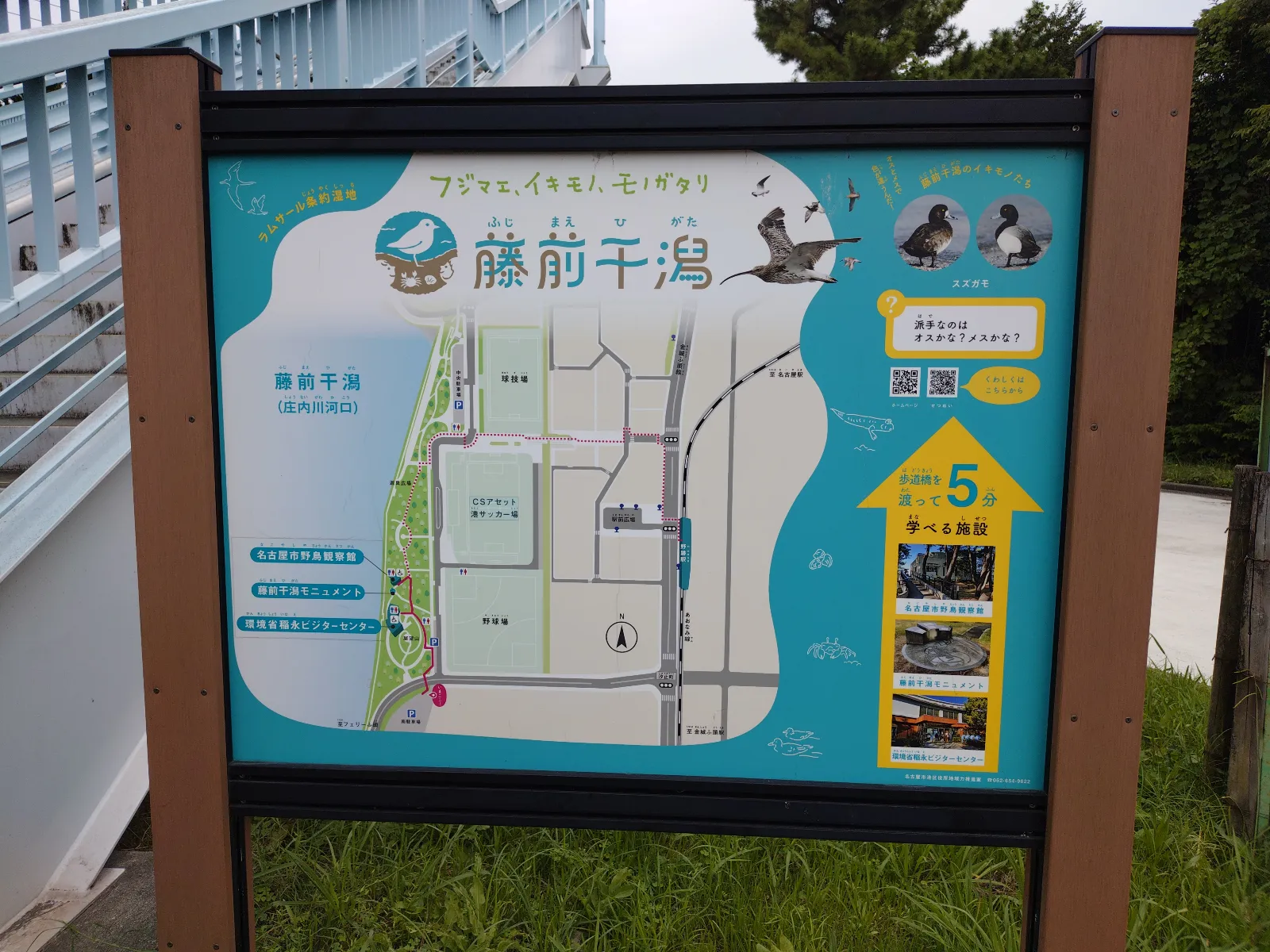 吉田浩紀さんのナゾ活写真