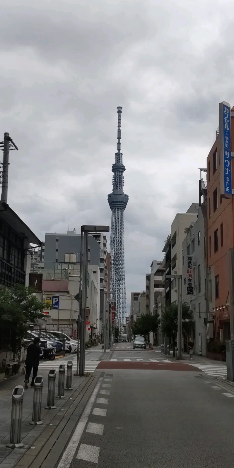 田中 咲さんが投稿した「パラノマサイト Alt FILE23 本所にゃにゃ不思議 powered by Catripすみだ」のナゾ活写真 2枚目
