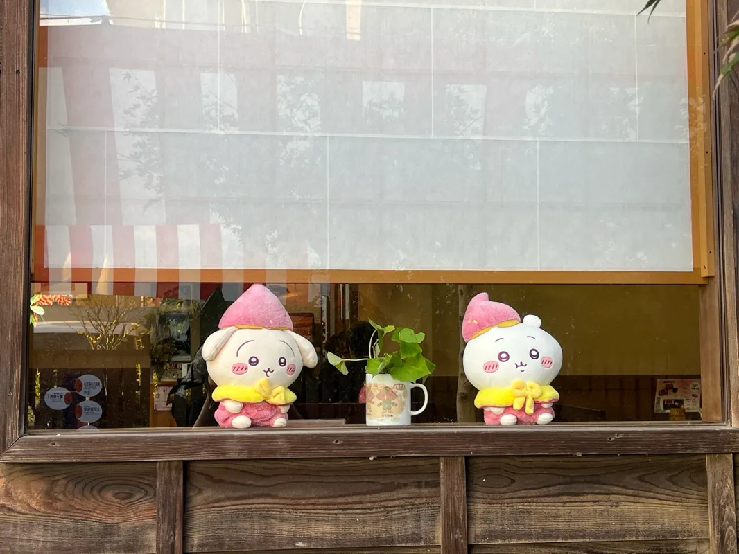めいさんのナゾ活写真