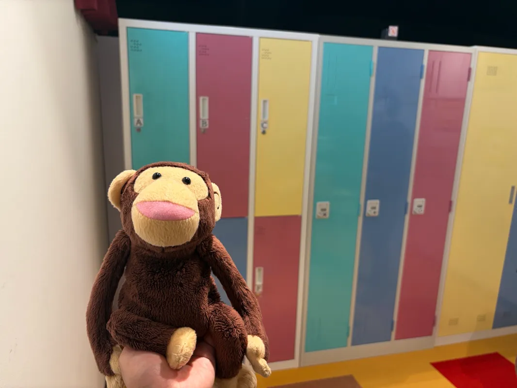 レッツオープン！のナゾ活写真