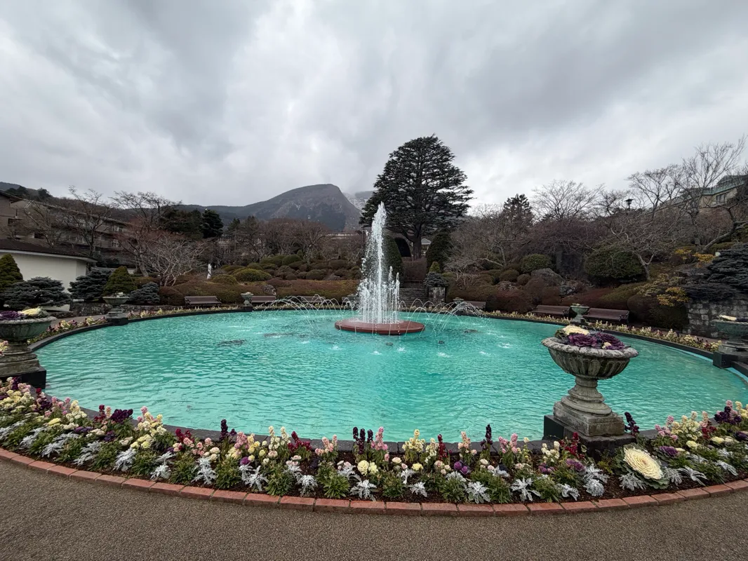 秘密の庭の品評会のナゾ活写真