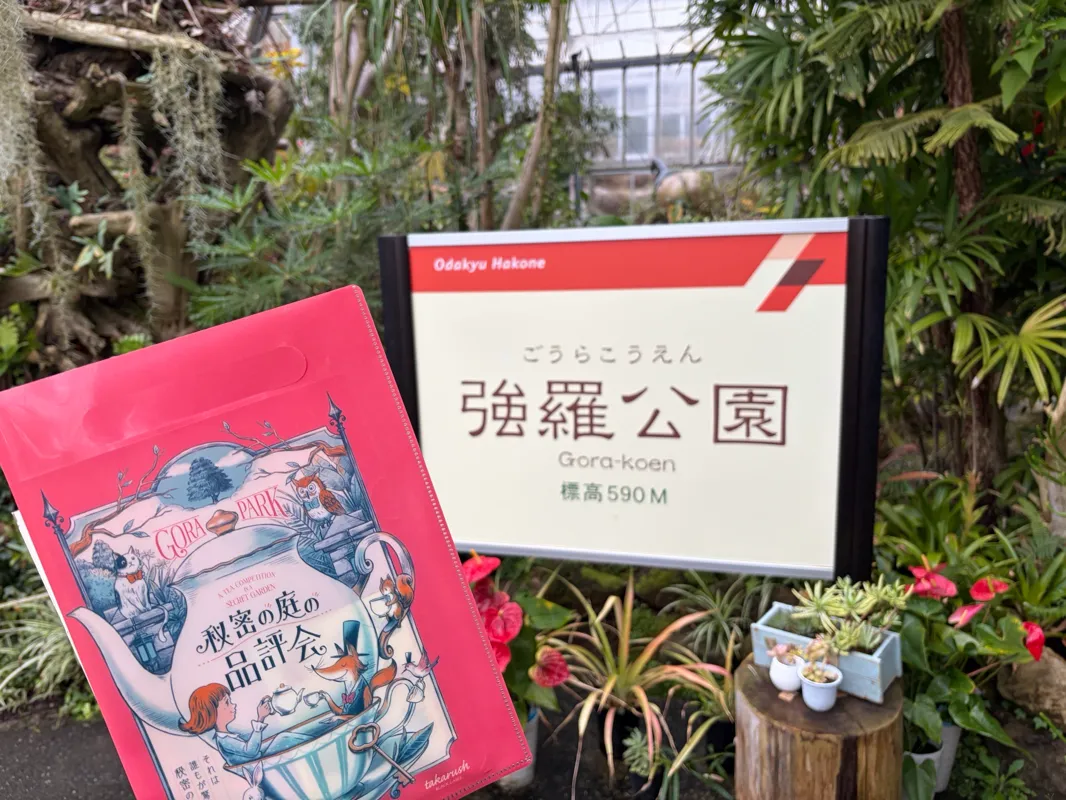 秘密の庭の品評会のナゾ活写真