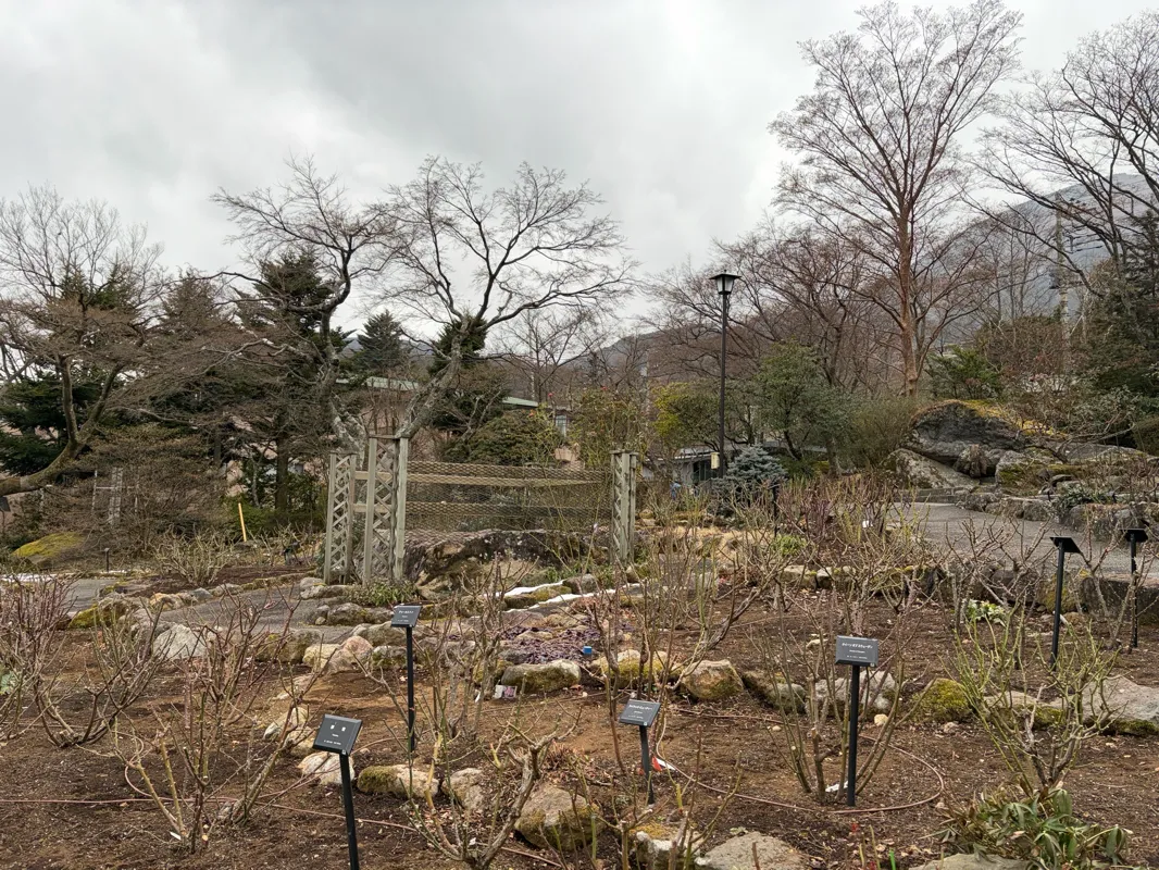 秘密の庭の品評会のナゾ活写真