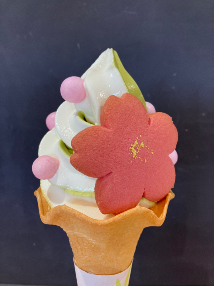 新宿御苑植物巡り（朝焼け編、夕焼け編、宵編）のナゾ活写真