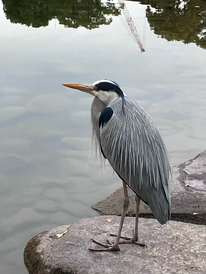 台東・墨田謎解き時空旅絵巻〜消えた浮世絵を追って〜のナゾ活写真
