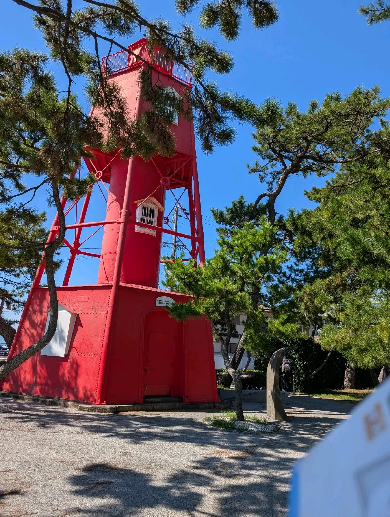 三宅樹さんのナゾ活写真