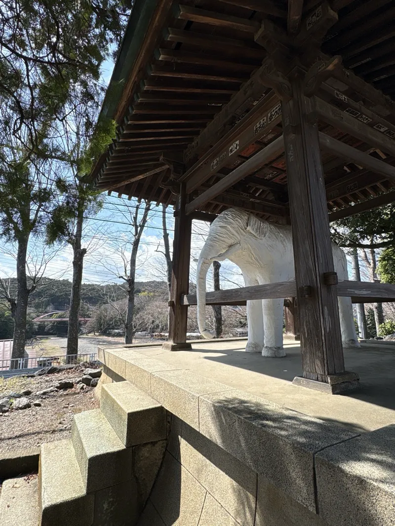 「飯能 ×『美しい星』× 謎解き　消えた小説家と5つの句」のナゾ活写真