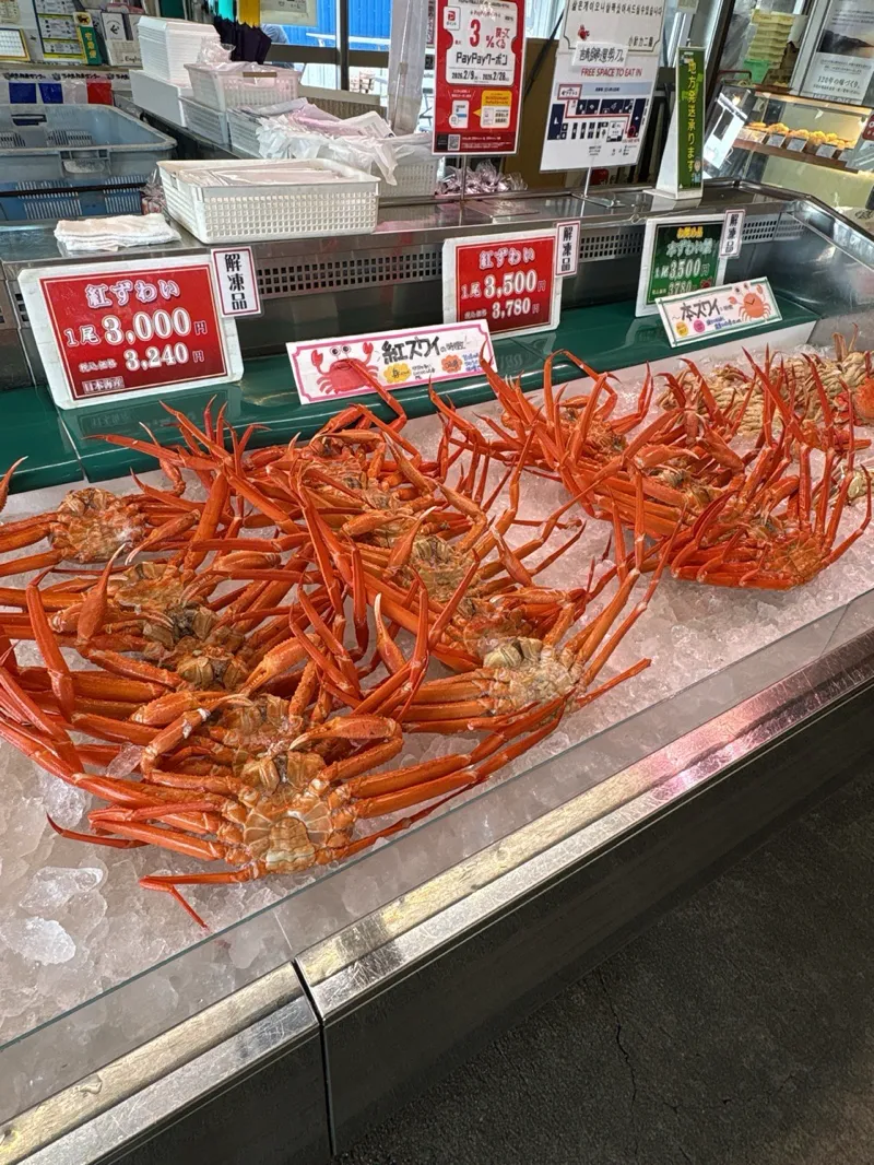 新潟謎旅のナゾ活写真