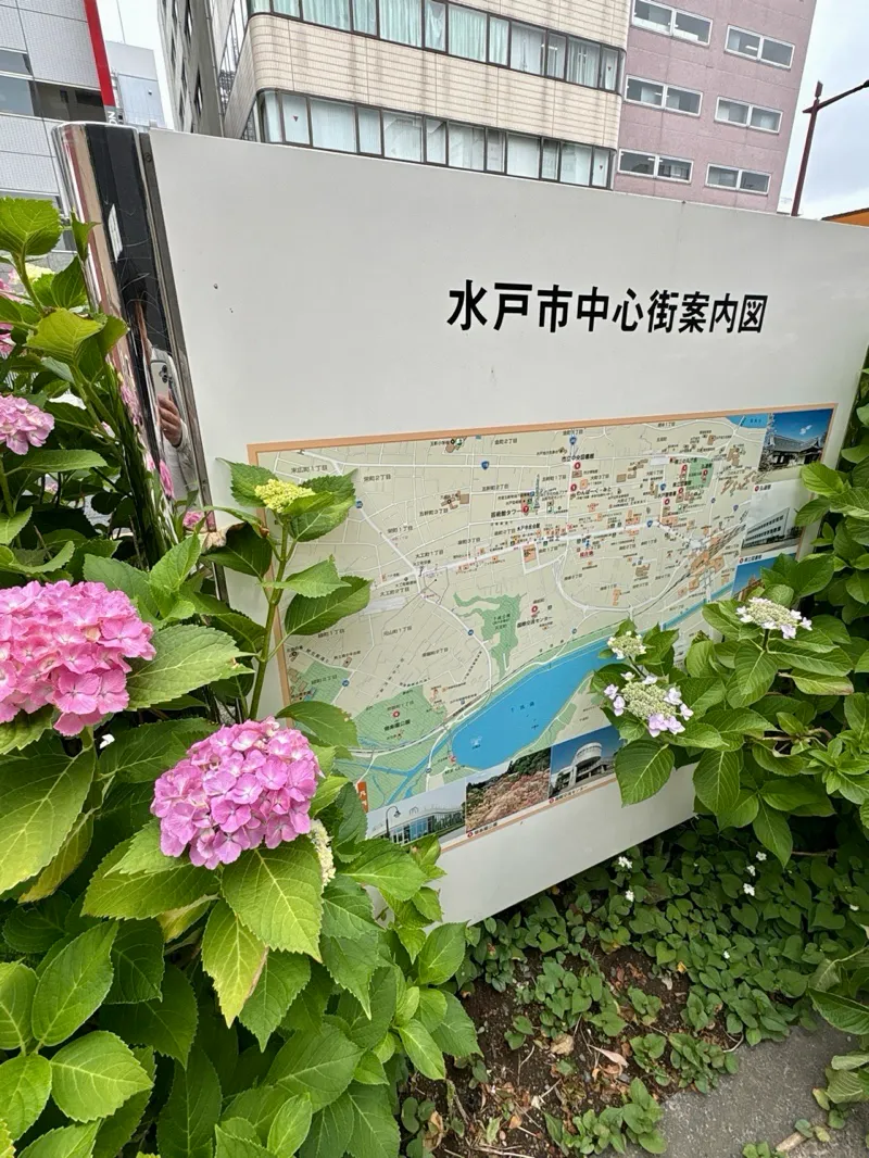 水戸まちなか謎巡り 君色オセロのナゾ活写真