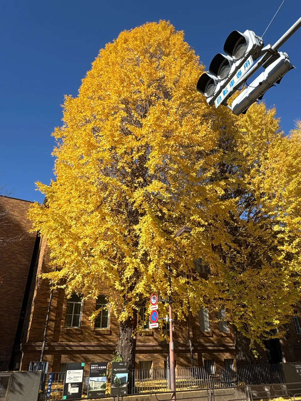 観光周遊型リアル謎解きゲーム「Catrip 上野」| SQUARE ENIXのナゾ活写真